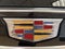 2025 Cadillac Escalade ESV Premium Luxury Platinum